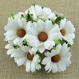 Chrysanthemums - White (5pk)