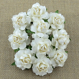 Cottage Roses - White 25mm (5pk)