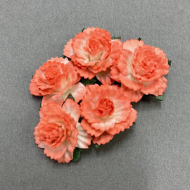 Carnations - 2 Tone Coral Orange/White 25mm (5pk)
