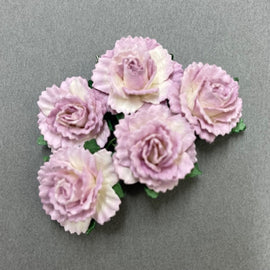 Carnations - 2 Tone Mauve/White 25mm (5pk)