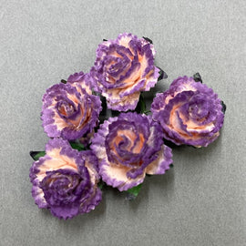 Carnations - 2 Tone Purple/Peach 25mm (5pk)