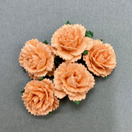 Carnations - Light Orange 25mm (5pk)