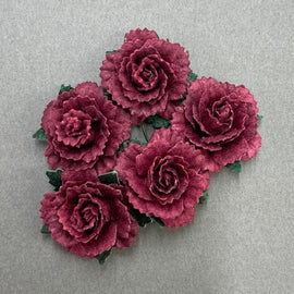 Carnations - Merlot 25mm (5pk)