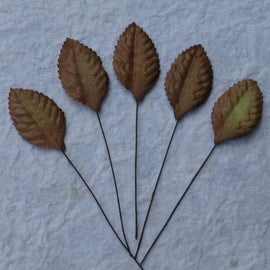 Mulberry Paper Rose Leaves - Brown 35mm (20pk)