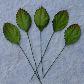 Mulberry Paper Rose Leaves - Green 30mm (30pk)