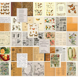 49 and Market - Color Swatch Peach - 6x8 Collage Sheets (40pc)