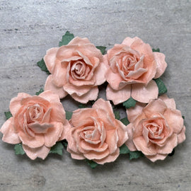 Cottage Roses - Peach 25mm (5pk)